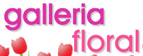 Galleria Floral Studio