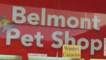 Belmont Pet Shop